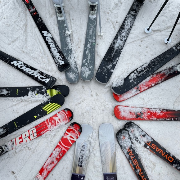 Meet your Posher, Josey - Picture 1 of 1